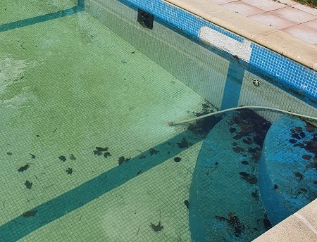 piscine en mosaïque avec joints fragiles, pouvant servire de support aux algues